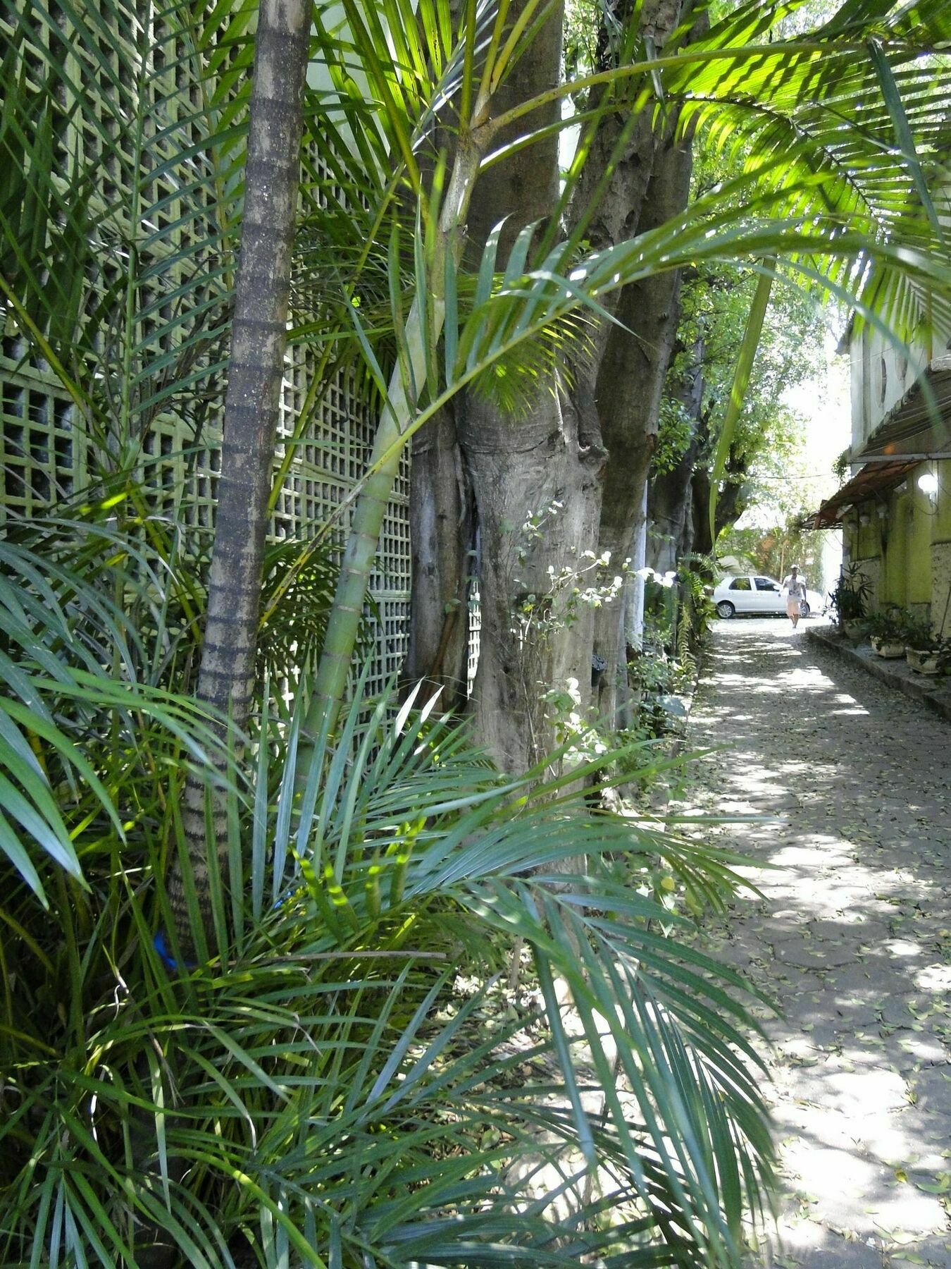 Jardins Village Hostel - Privative Rooms São Paulo Exteriér fotografie